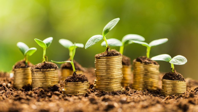 Saplings growing from coins